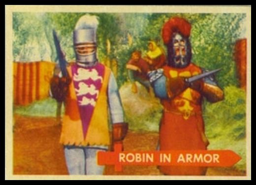 46 Robin In Armor